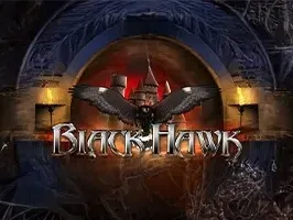 Black Hawk game icon